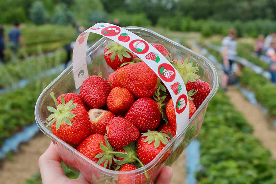 A Few Items to Add to Your Spring Bucket List