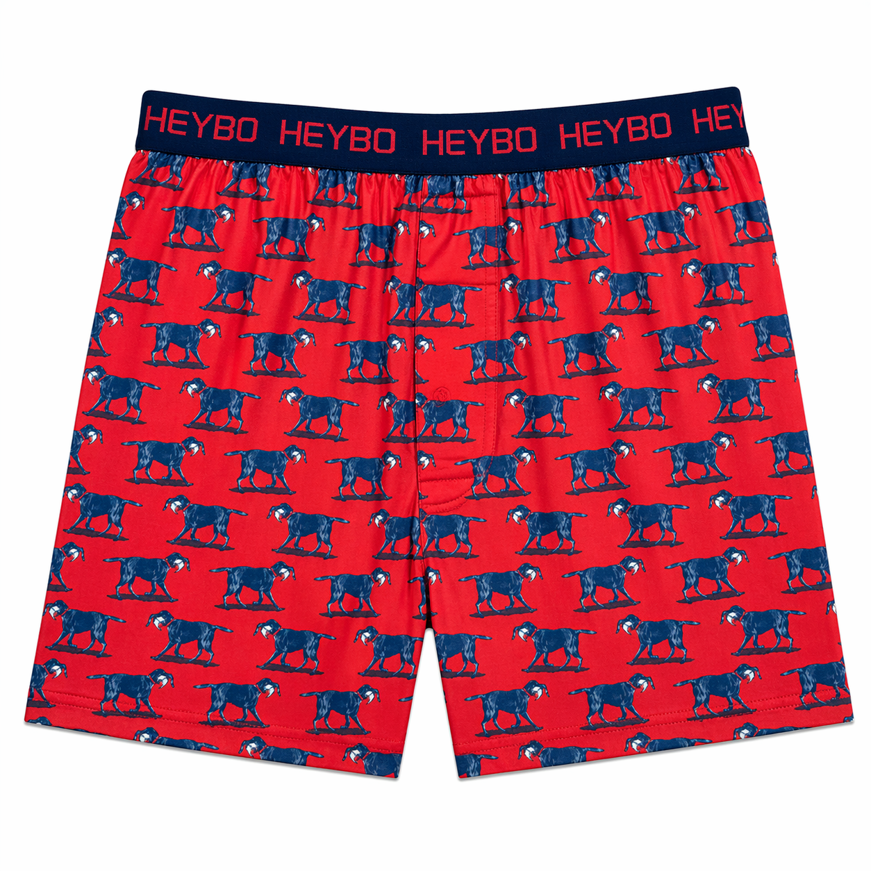 Performance Boxer: Lab With Mallard