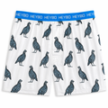 Performance Boxer: Quail
