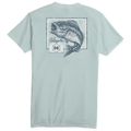 Largemouth Bass Youth