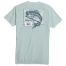 Largemouth Bass Youth