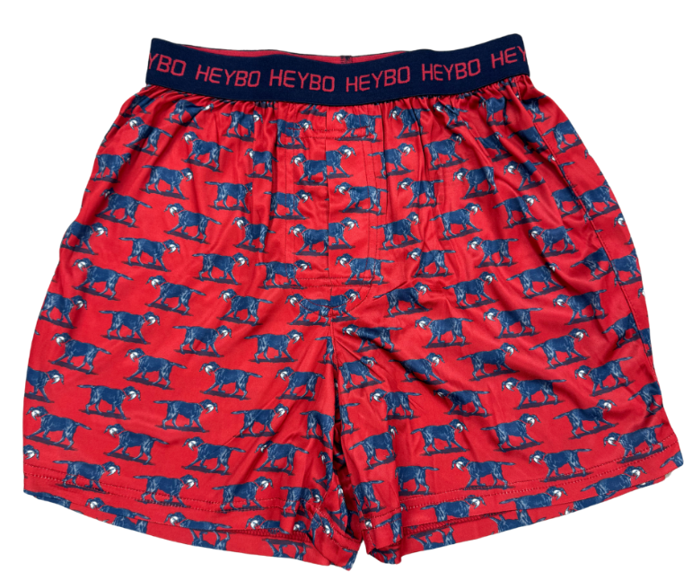 Performance Boxer: Lab With Mallard